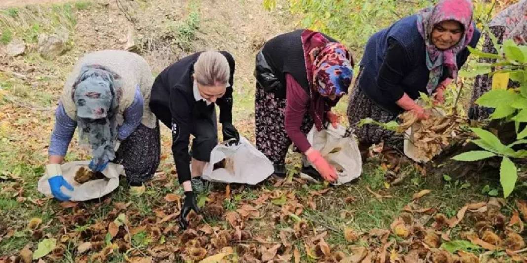 Ağaçtan düşürülüyor, kadınlar tarafından toplanıyor! Zorlu araziden köye yolculuk: Kuyuda 15 gün bekletilip satılıyor 4